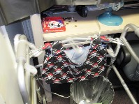 IMG_1528.jpg