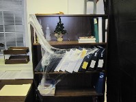 IMG_1531.jpg