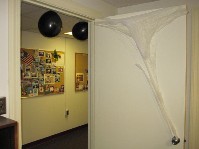 IMG_1533.jpg
